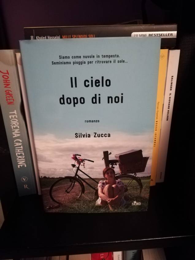 Il cielo dopo di noi Silvia Zucca